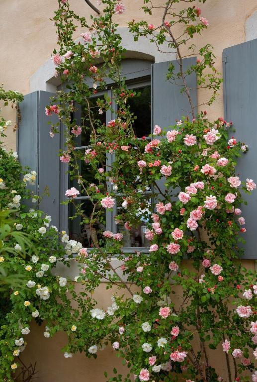 Logis Hotel - Restaurant La Marbrerie Caunes-Minervois Værelse billede